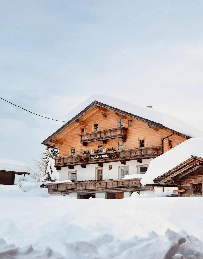 Waldruhe Appartements Sankt Jakob in Defereggen Exteriér fotografie